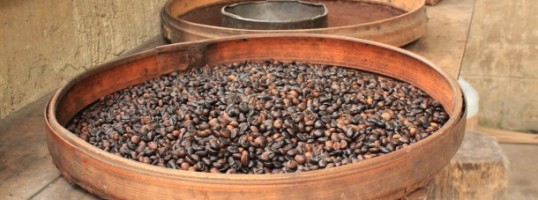 granos de cafe destacada