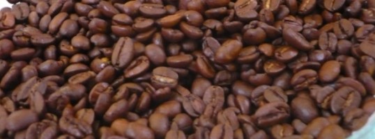 cafe geisha panama grano