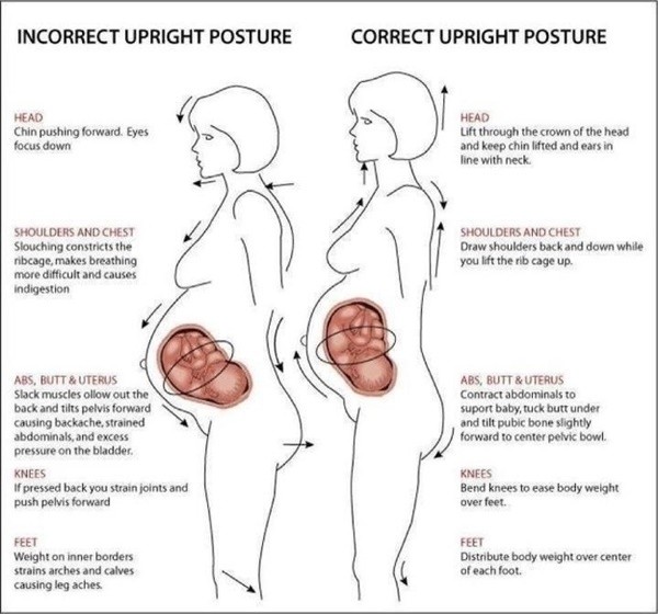 2-Helpful-Diagrams-for-Moms-To-Be