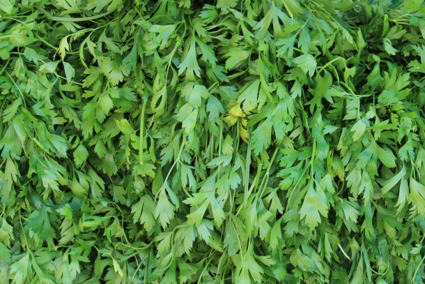 trucos para cocinar verduras 2