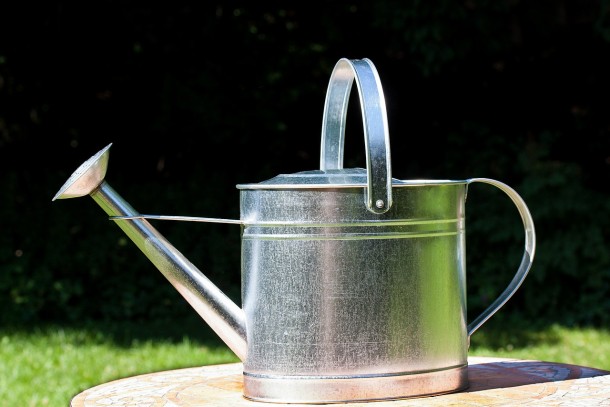 watering-can-397299_1280