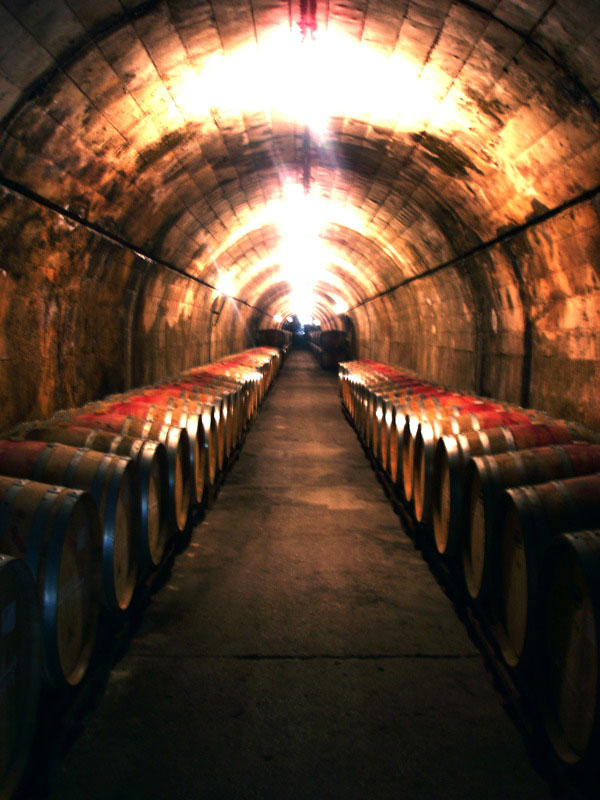 20150316_vino