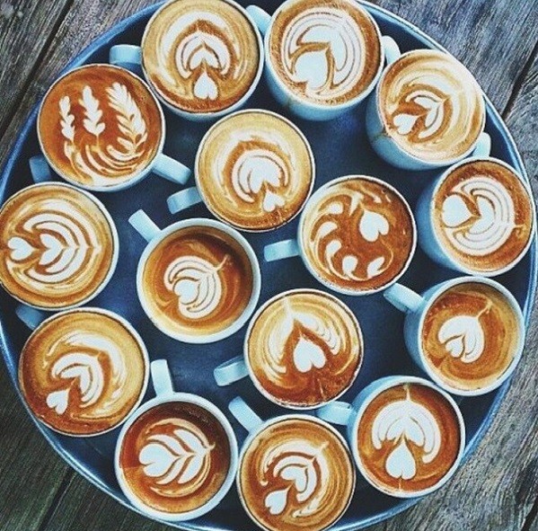 cafe5
