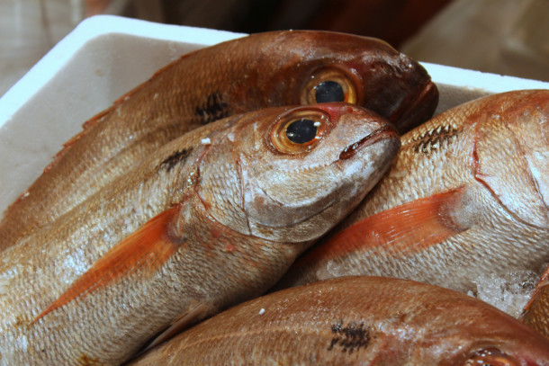 trucos para cocinar pescado