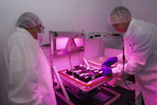 veggie_ksc_activation