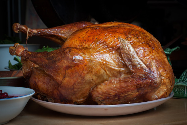 pavo de acción de gracias