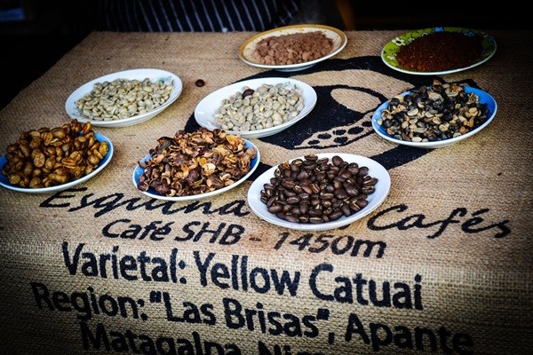historia cafe (3)