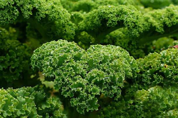 Col kale