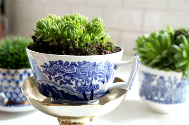 plantas de cocina