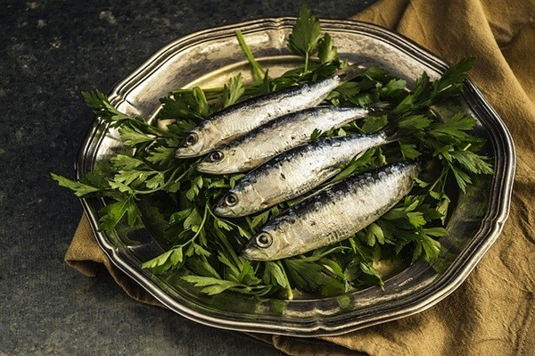 sardines-1468422_640