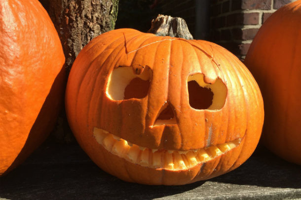 halloween calabaza