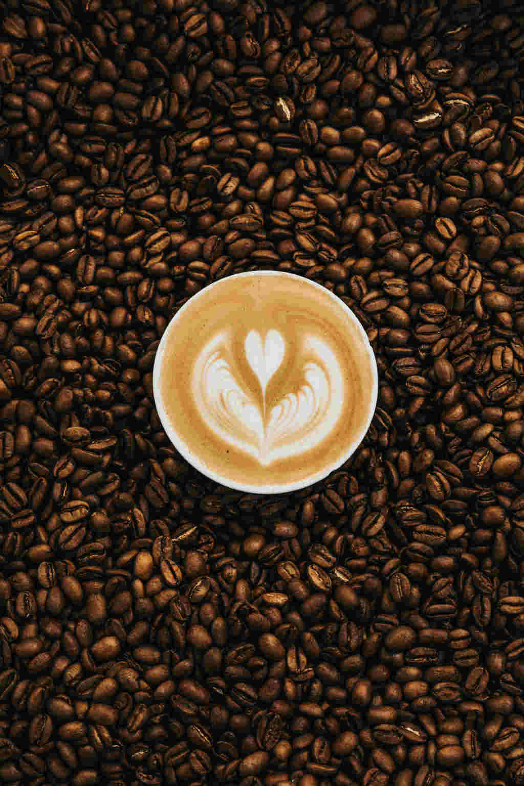 moler cafe en casa