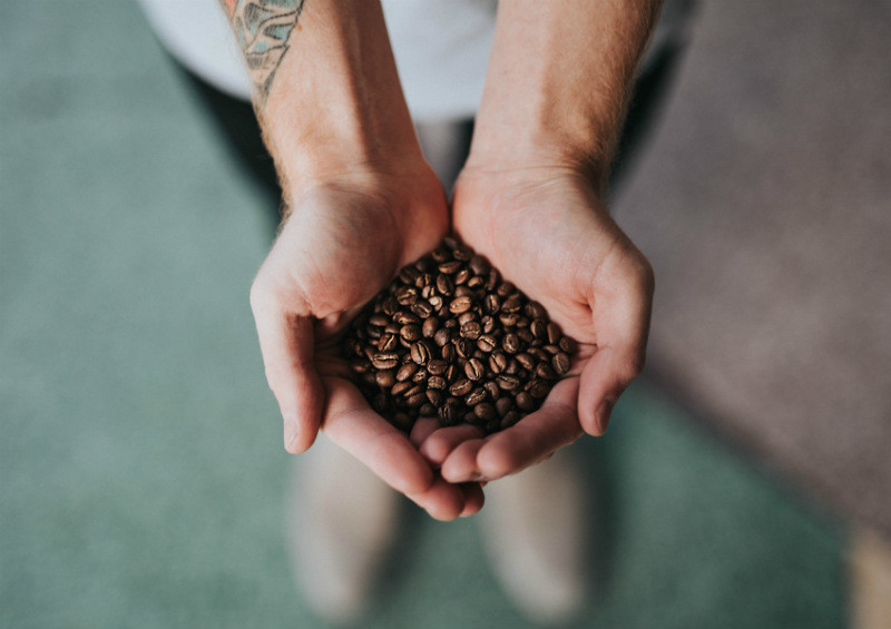 tipos de granos de cafe