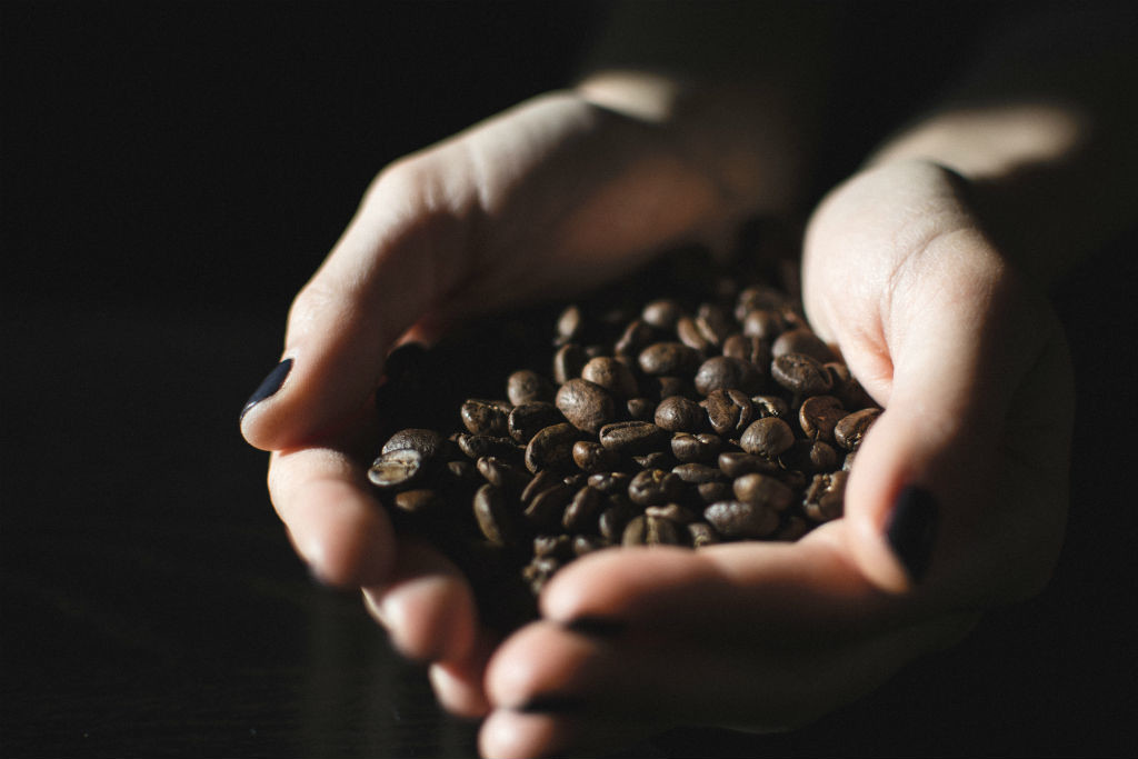 tipos de granos de cafe