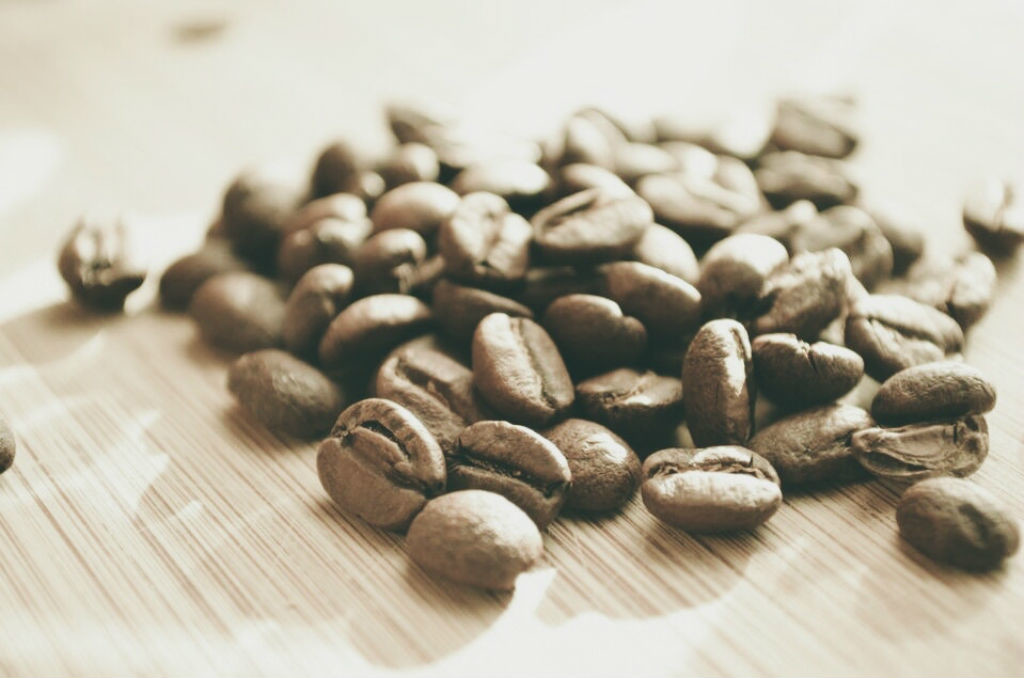 tipos de granos de cafe