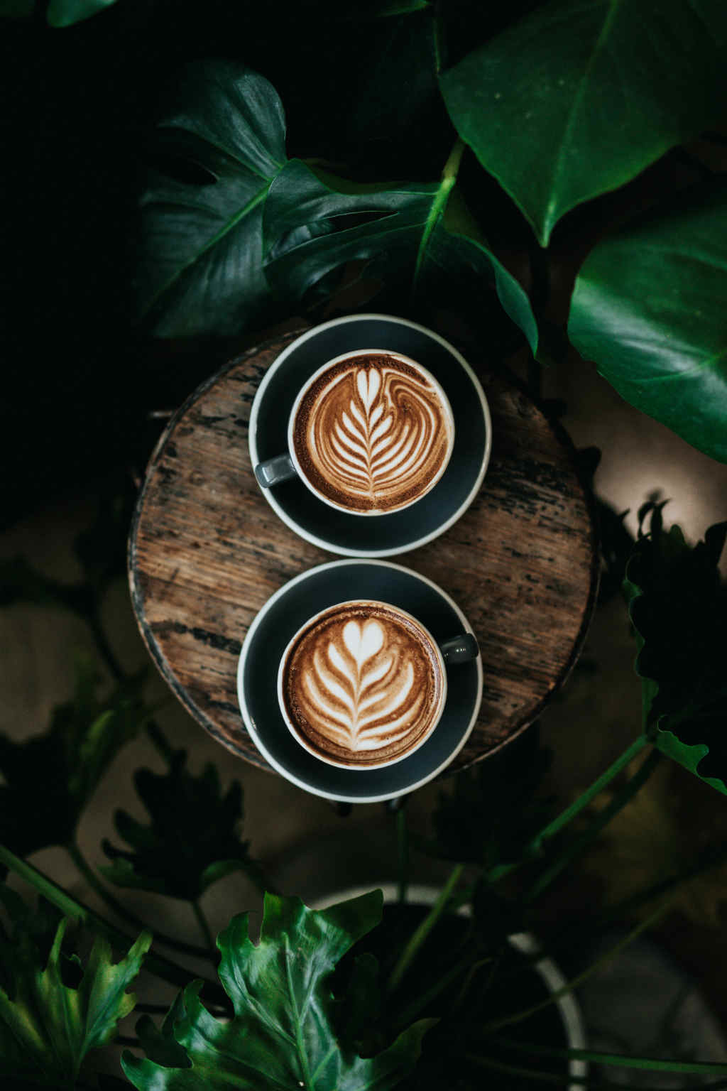 consejos para fotografiar tu cafe