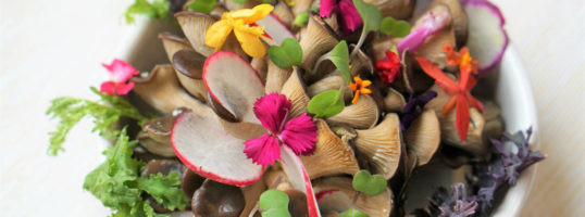 flores comestibles como usarlas