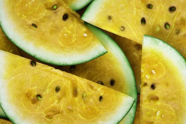 sandia sandia