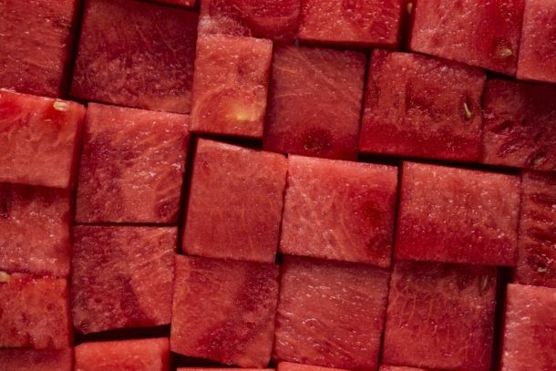 sandia sandia