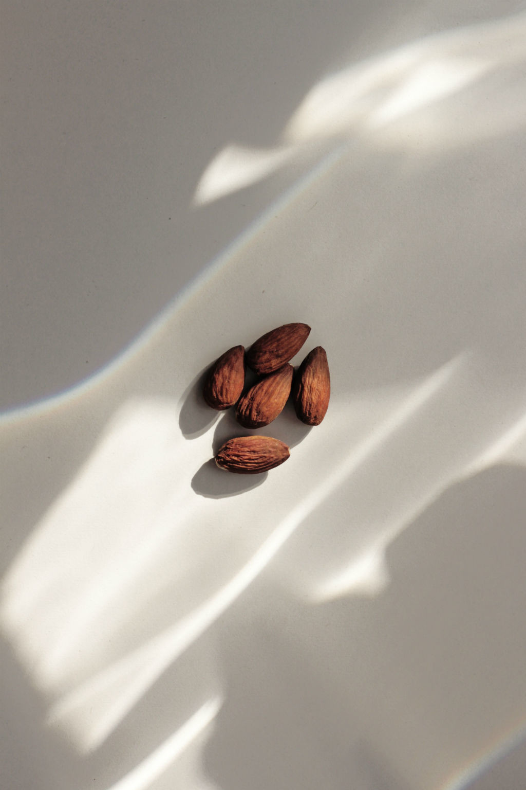 alimentos de otono alimentos de otono
