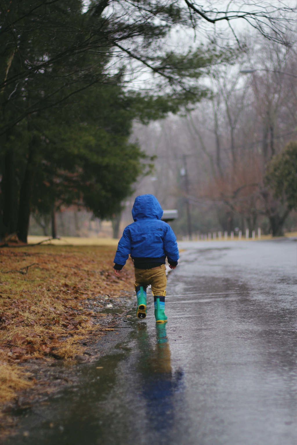 lluvia con bebés lluvia con bebés