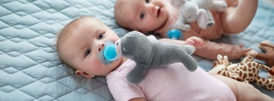 peluches y chupetes