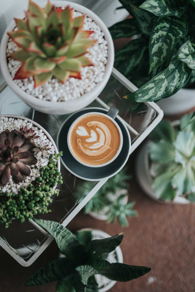 Café en Instagram: cuentas que seguir Mi Mundo Philips Café en Instagram: cuentas que seguir Mi Mundo Philips