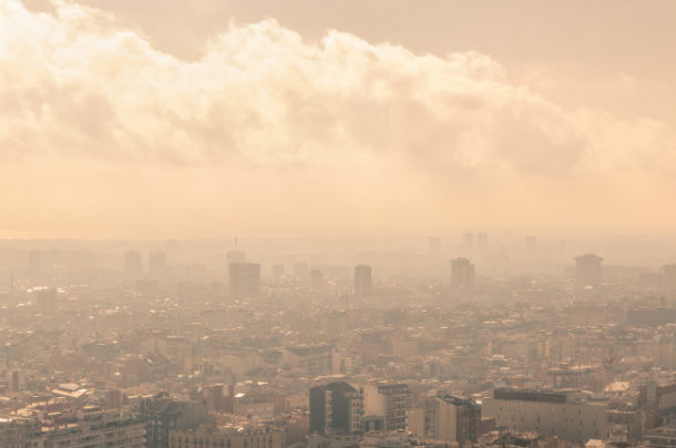 alergia en la ciudad