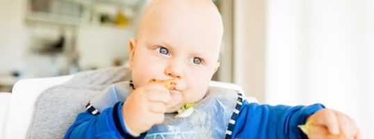 alimentos solidos