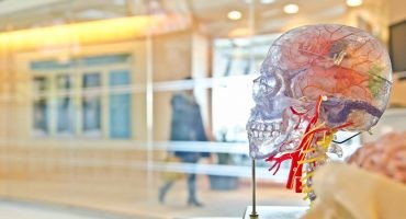 ¿Qué es la neuroarquitectura y cómo puede cambiar nuestras viviendas?