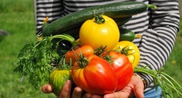Crear un huerto, trucos y consejos