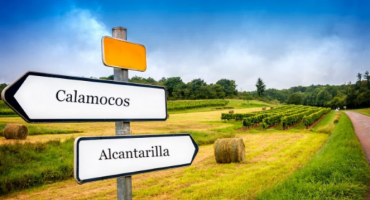 Calamocos y Alcantarilla