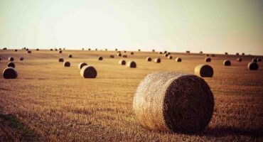 Ventajas y beneficios de construir una casa de paja.